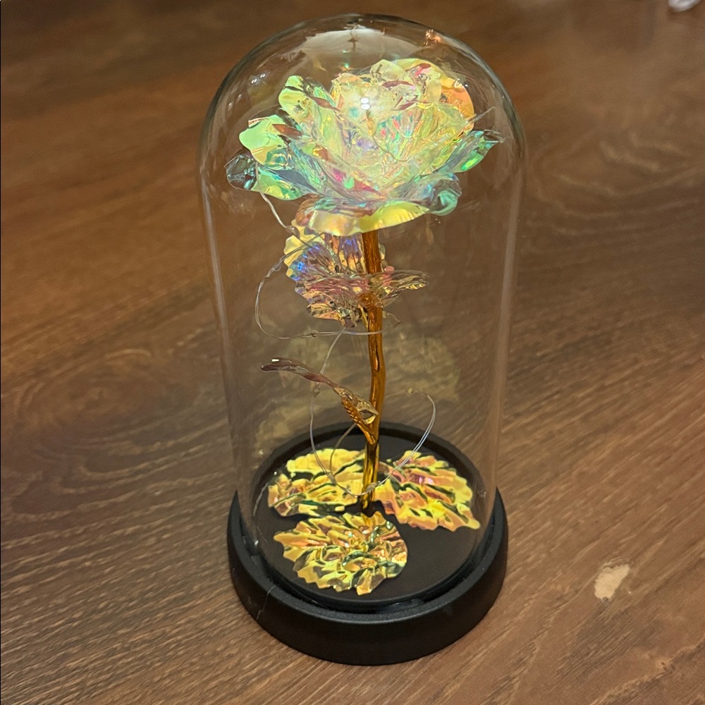 Iridescent LED Rose Dome - Home Art Accent